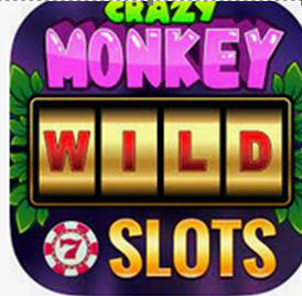 crazymonkey